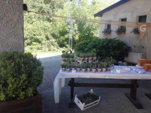 IMG_20160716_160207